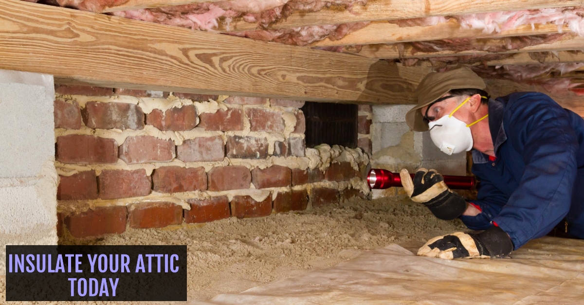 Attic inspection